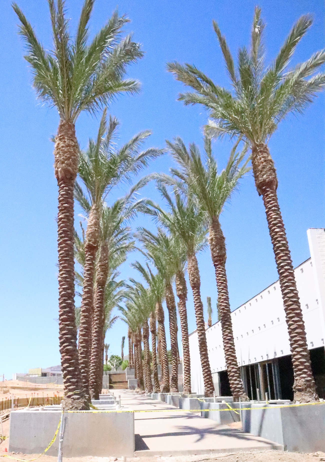 Photo of Ritz-Carlton, Paradise Valley villas and estates.