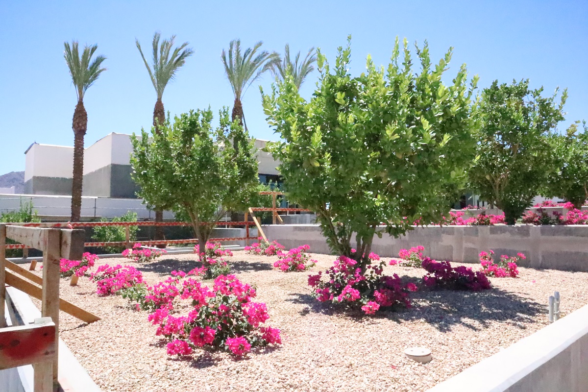 Photo of Ritz-Carlton, Paradise Valley.