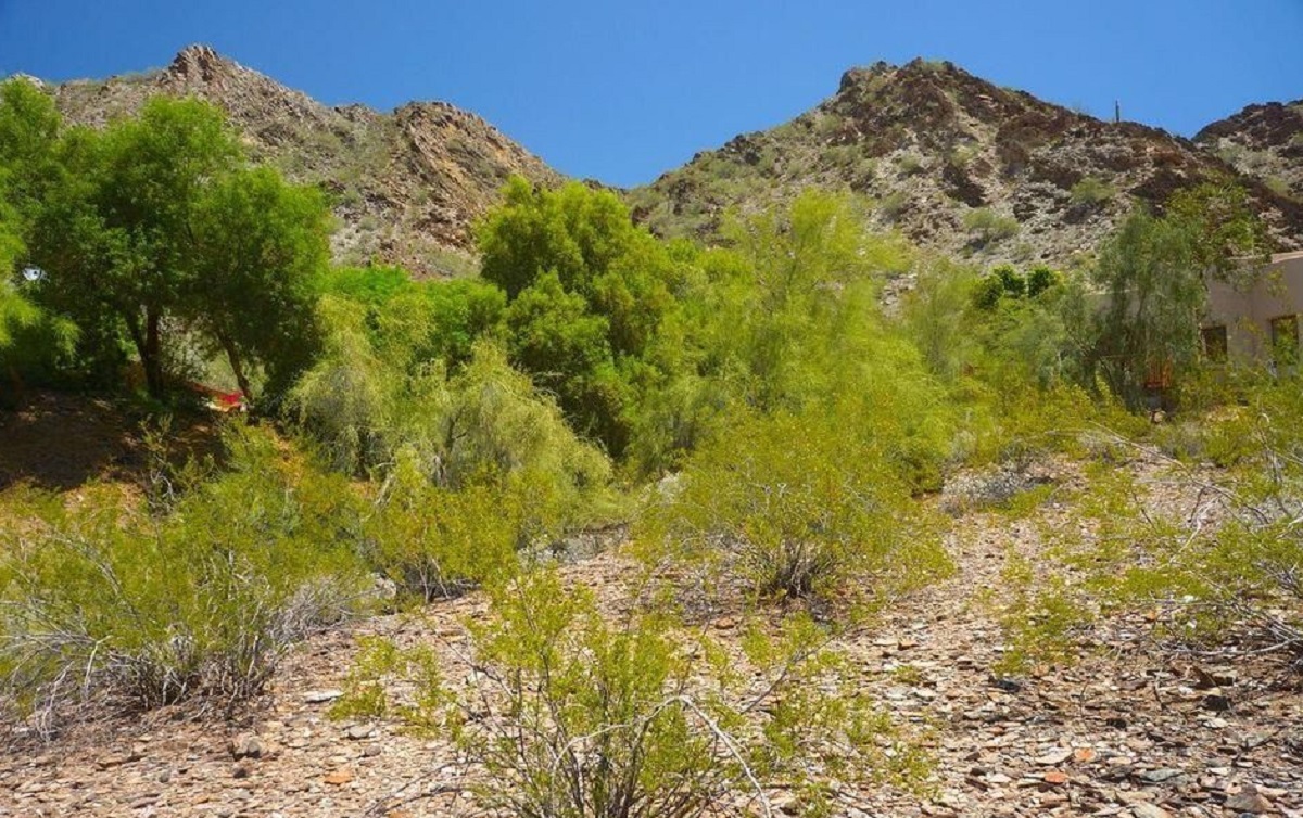 Photo of Cinnabar Canyon Estates view lot.