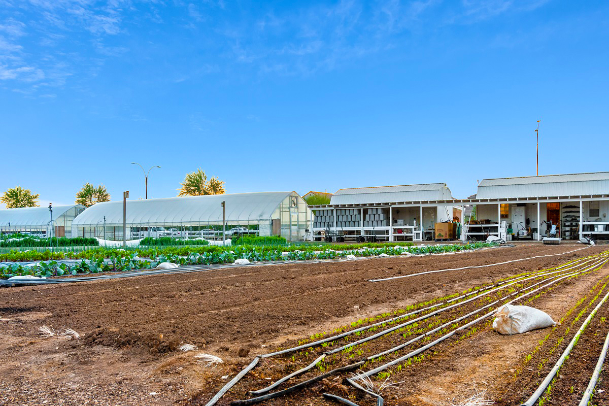 Photo pf productive farmland.
