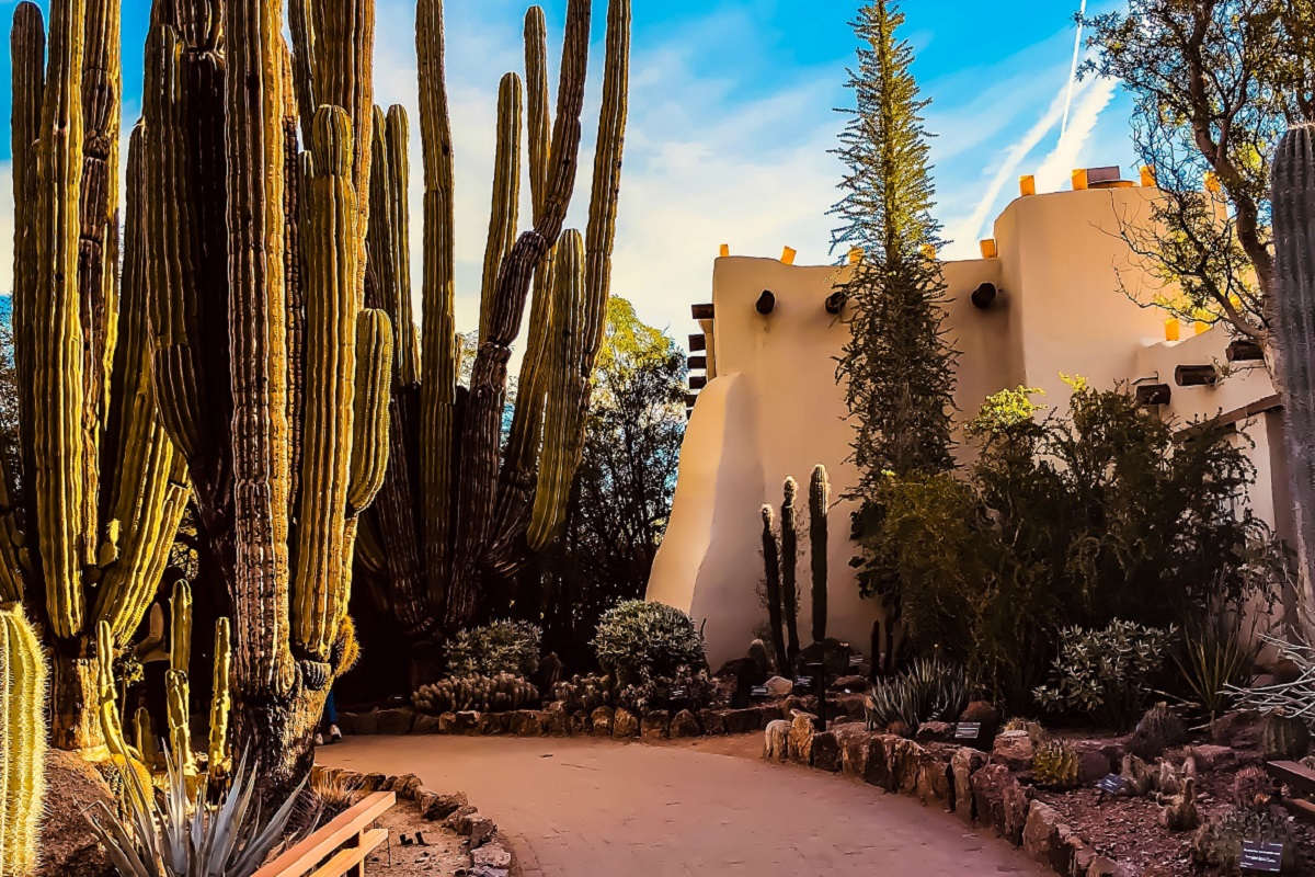 A home in Greater Phoenix.