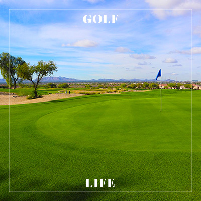 A beautiful golf course in Scottsdale, Arizona.