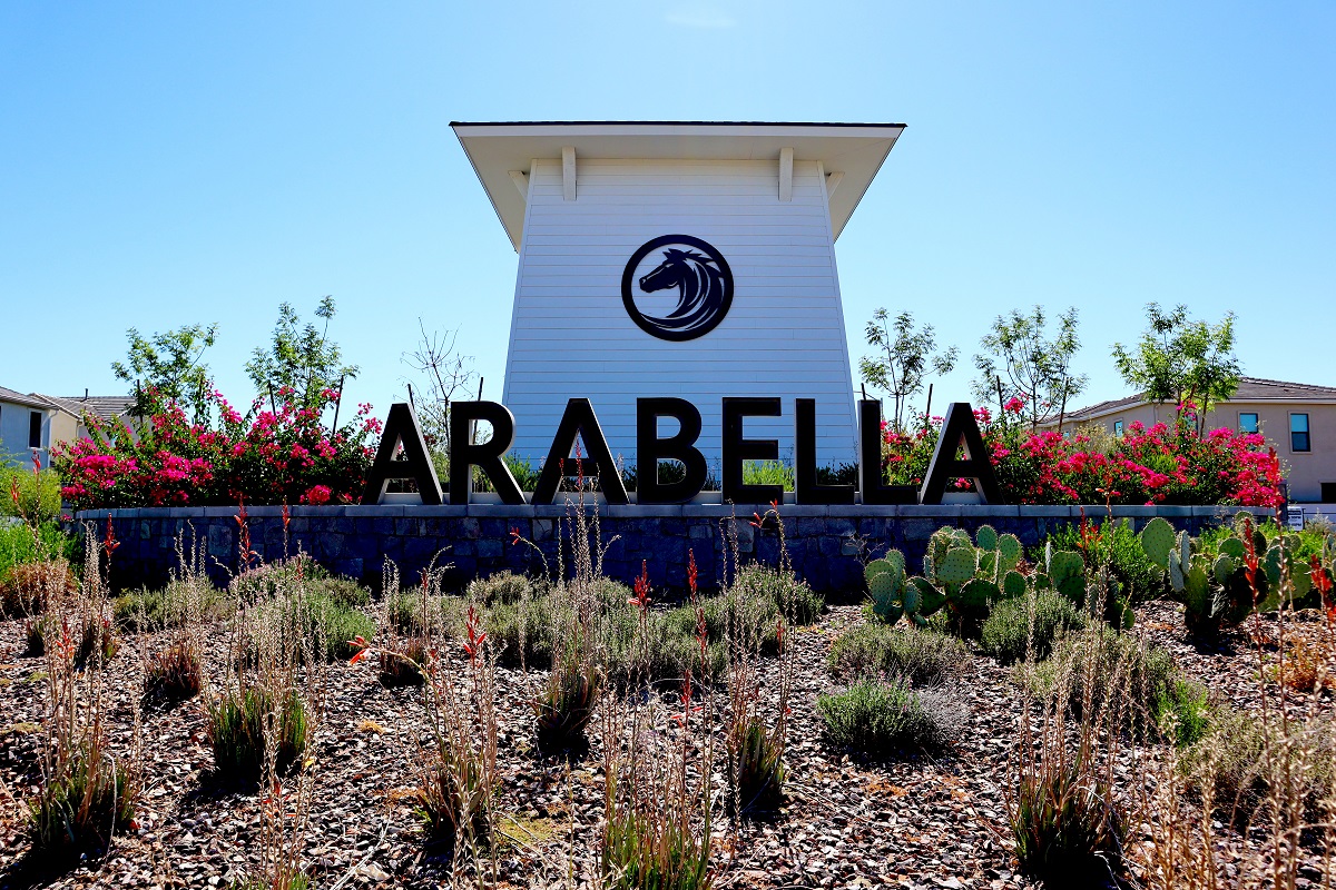 Arabella in Scottsdale.