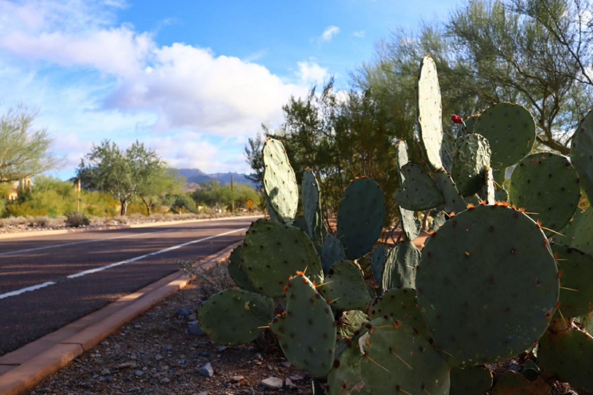 DC Ranch in Scottsdale, Arizona.