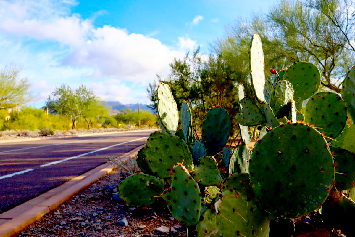 DC Ranch In Scottsdale.