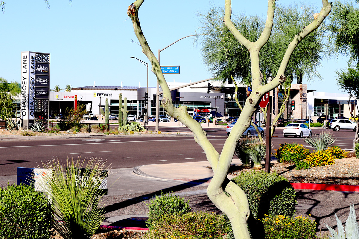 Ferrari and Maserati in Scottsdale.