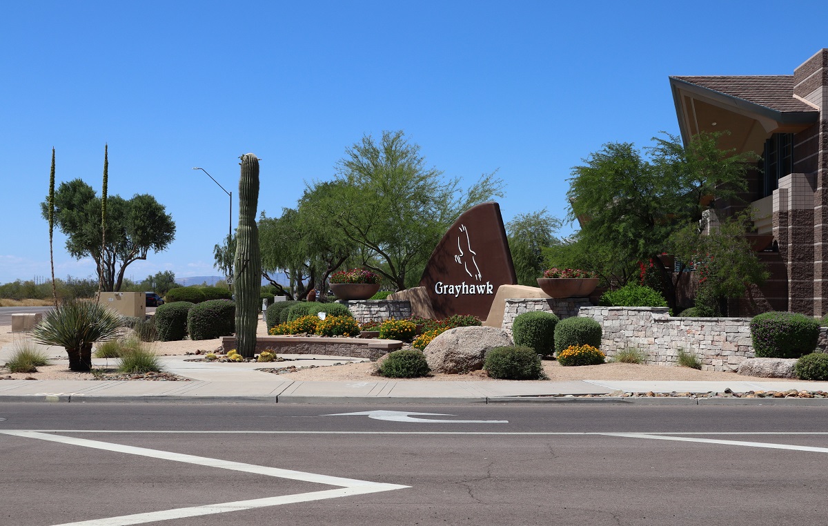Grayhawk.