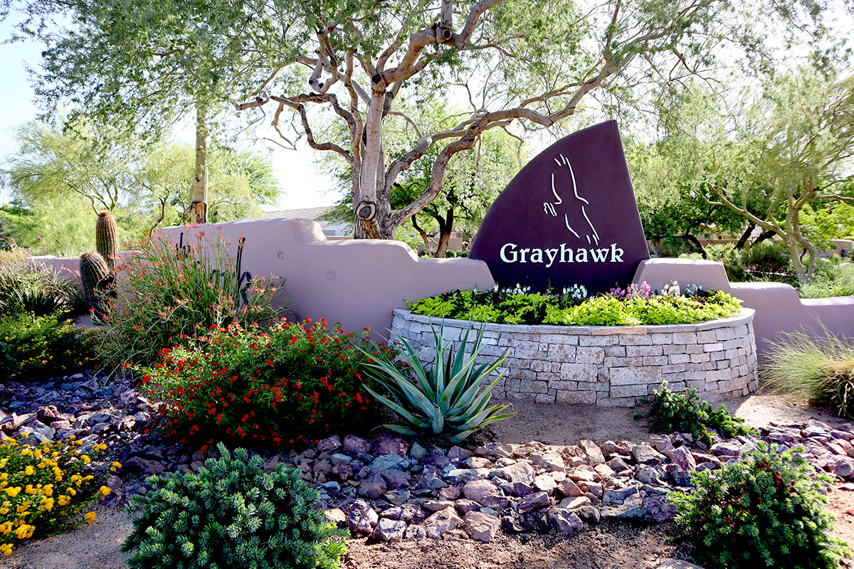 Grayhawk