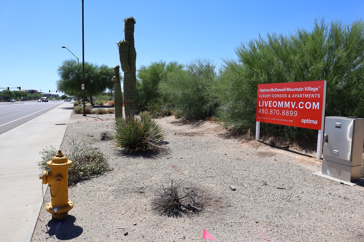 Optima McDowell Mountain Village.